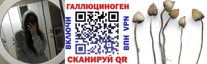 Псилоцибиновые грибы мухоморы  kraken зеркало  Балтийск 