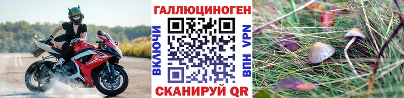 Галлюциногенные грибы GOLDEN TEACHER Балтийск