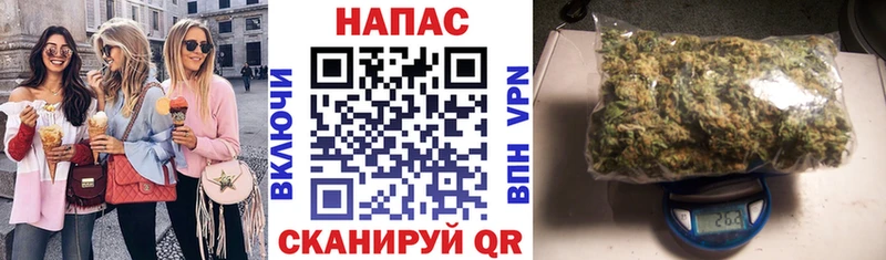 Конопля планчик  купить  цена  Балтийск 